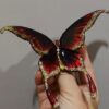 Handmade Butterfly Accessories