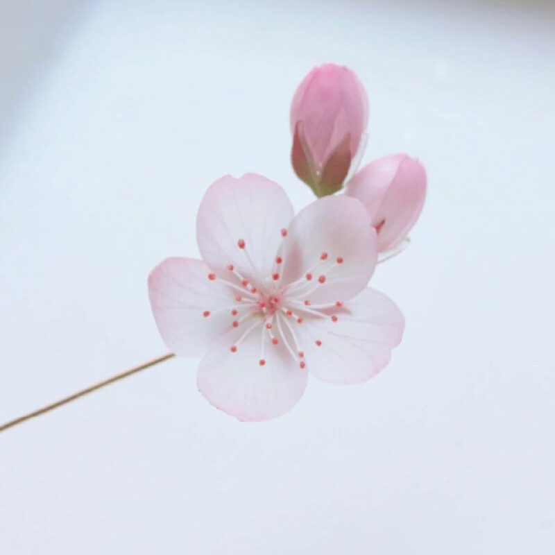 Handmade Resin Cherry Blossom Hairpin and Brooch