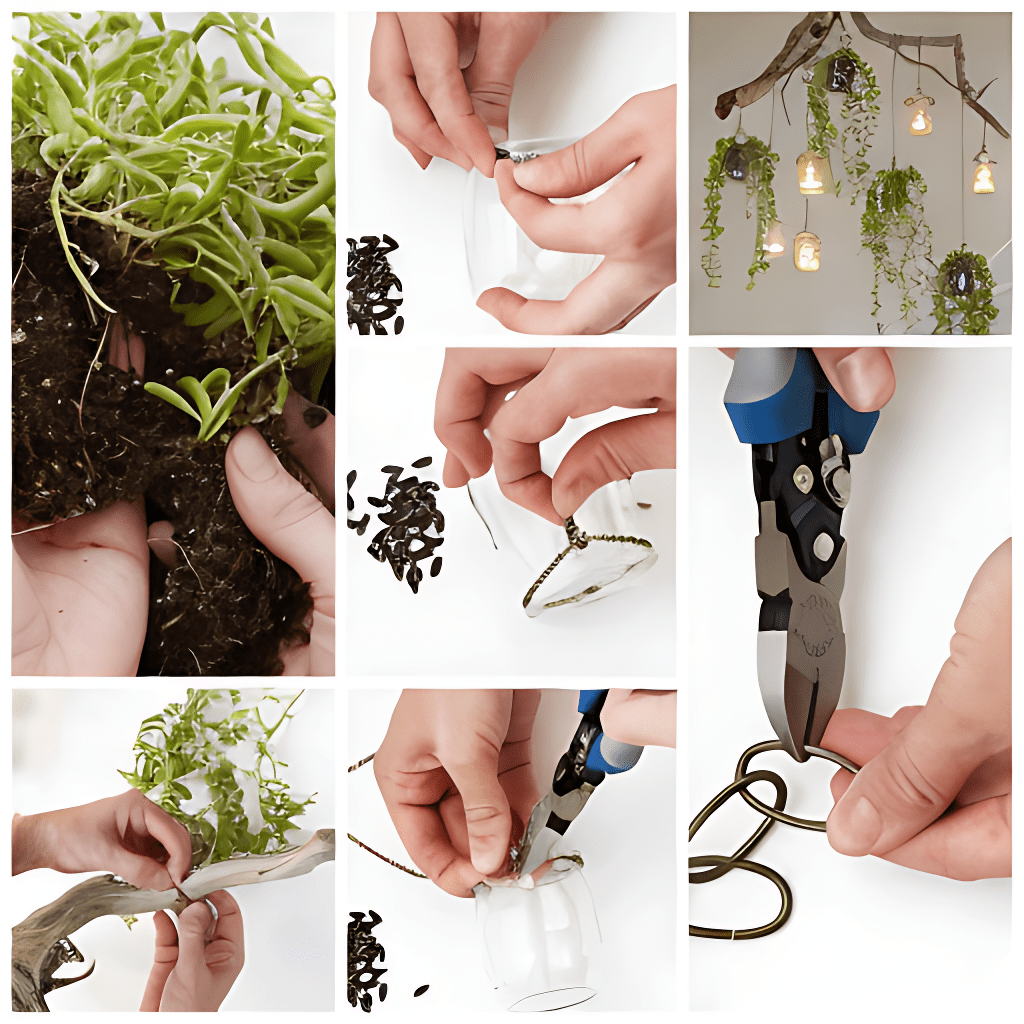 How to make an indoor plant chandelier