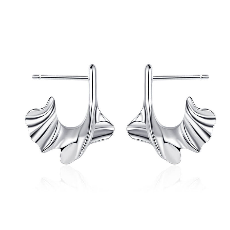 S925 Silver Irregular C-shaped Earrings