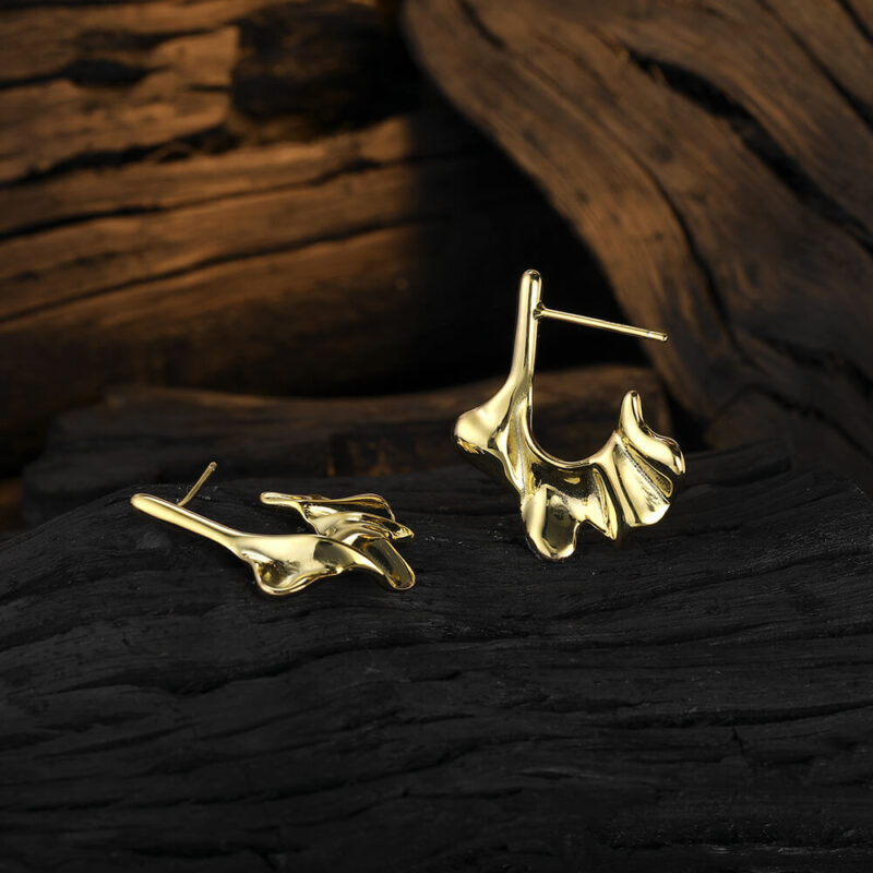 S925 Silver Irregular C-shaped Earrings