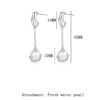 S925 Sterling Silver Geometric Irregular Freshwater Pearl Earrings