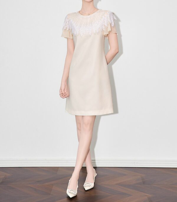 Round neck beaded sequin embroidered dress 1