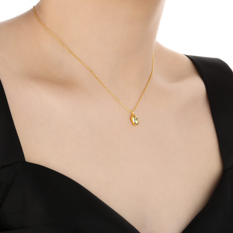 S925 Sterling Silver Inlaid Zircon Star Clavicle Necklace 3