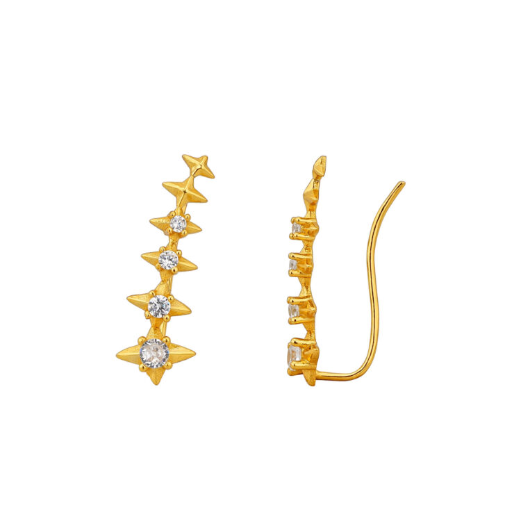 S925 Sterling Silver Star Earrings