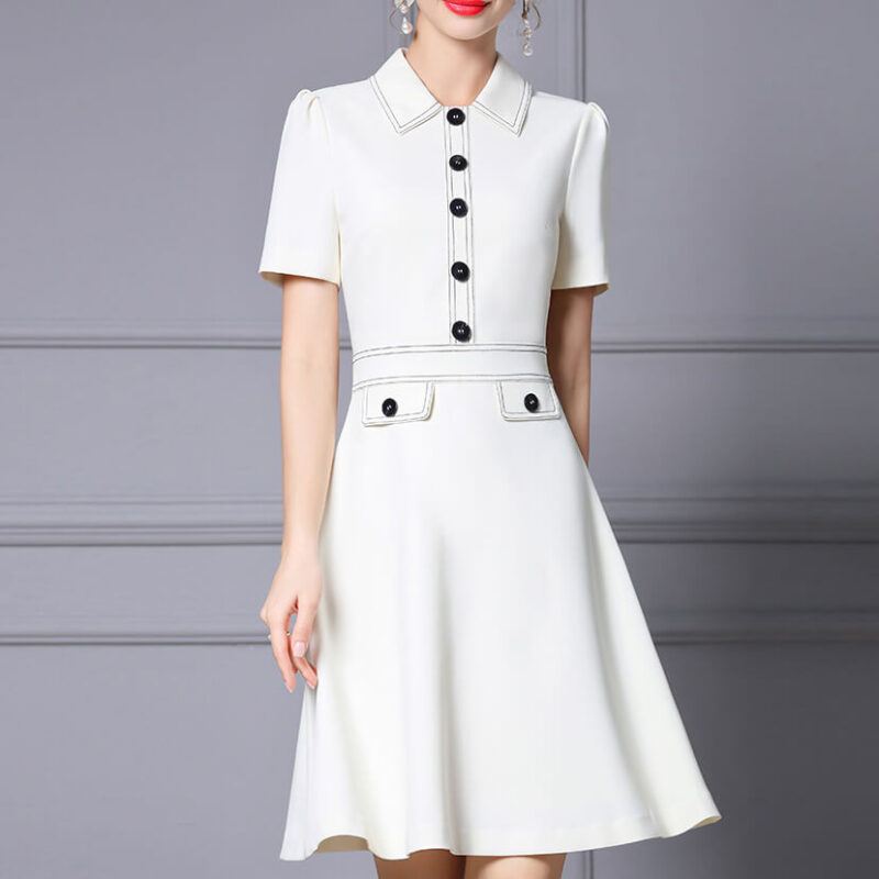 Summer Commuting Lapel Waist A Line Dress 5