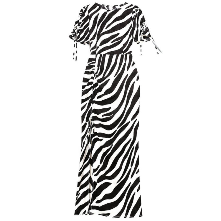Zebra-print Silk Drawstring Dress