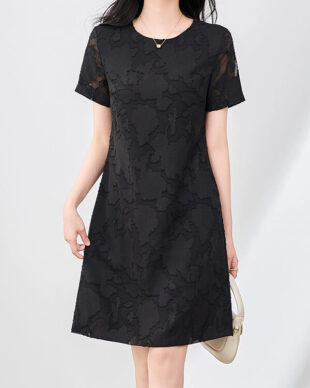 Black Round Neck Short-Sleeve A-Line Dress