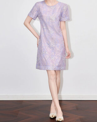 Embroidered Beaded Lace A-Line Dress
