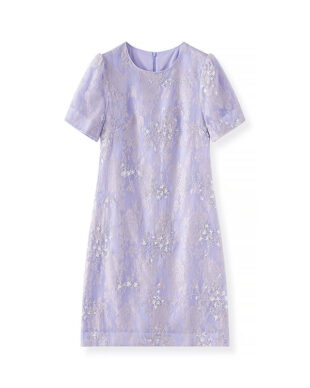 Embroidered Beaded Lace A-Line Dress