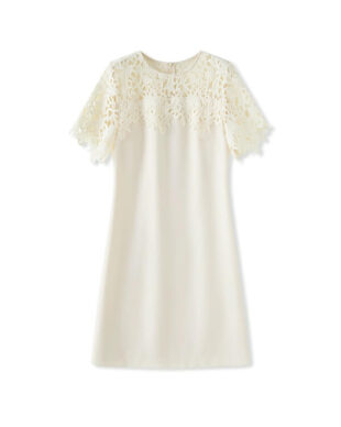 Lace Embroidered A-Line Dress