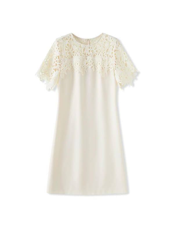 Lace Embroidered A-Line Dress