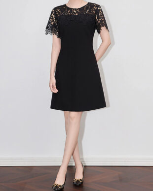 Lace Embroidered A-Line Dress