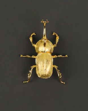 Original Bronze Rhinoceros Beetle Brooch