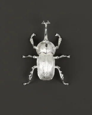 Original Bronze Rhinoceros Beetle Brooch