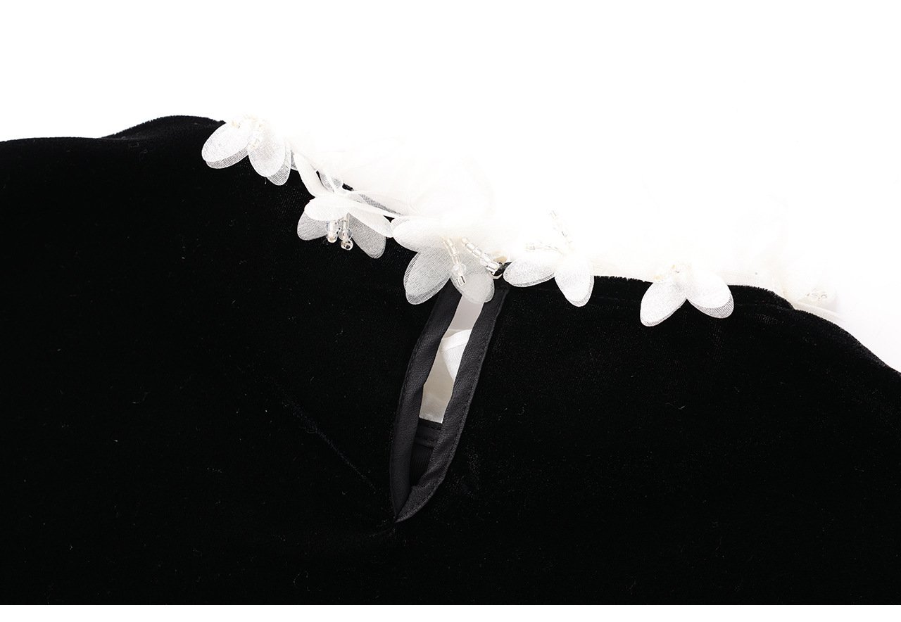 French Romantic Velvet Lace Petal Collar Shirt 20