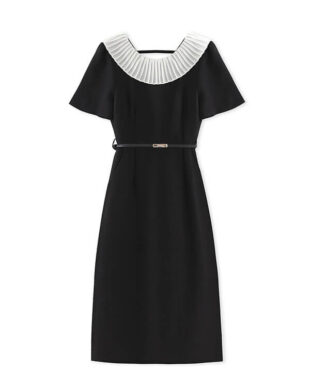 Ruffled Lace Collar Dress