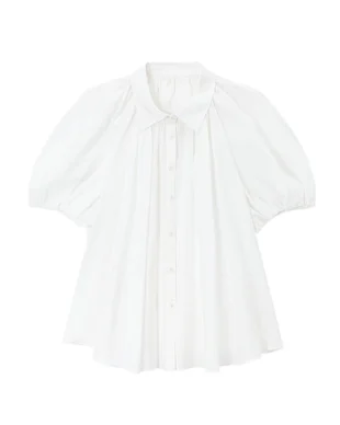 Sheer Puff Sleeve Shirt
