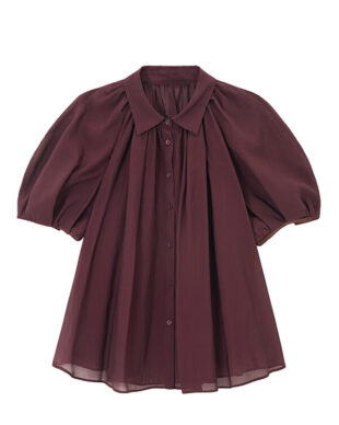 Sheer Puff Sleeve Shirt